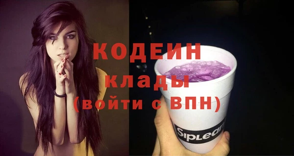 ГАЛЛЮЦИНОГЕННЫЕ ГРИБЫ Наволоки
