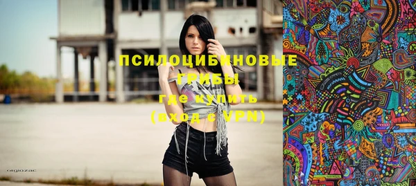 ГАЛЛЮЦИНОГЕННЫЕ ГРИБЫ Наволоки